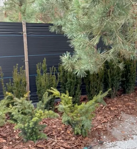 nasadzenia dla willa w Konstancin A1